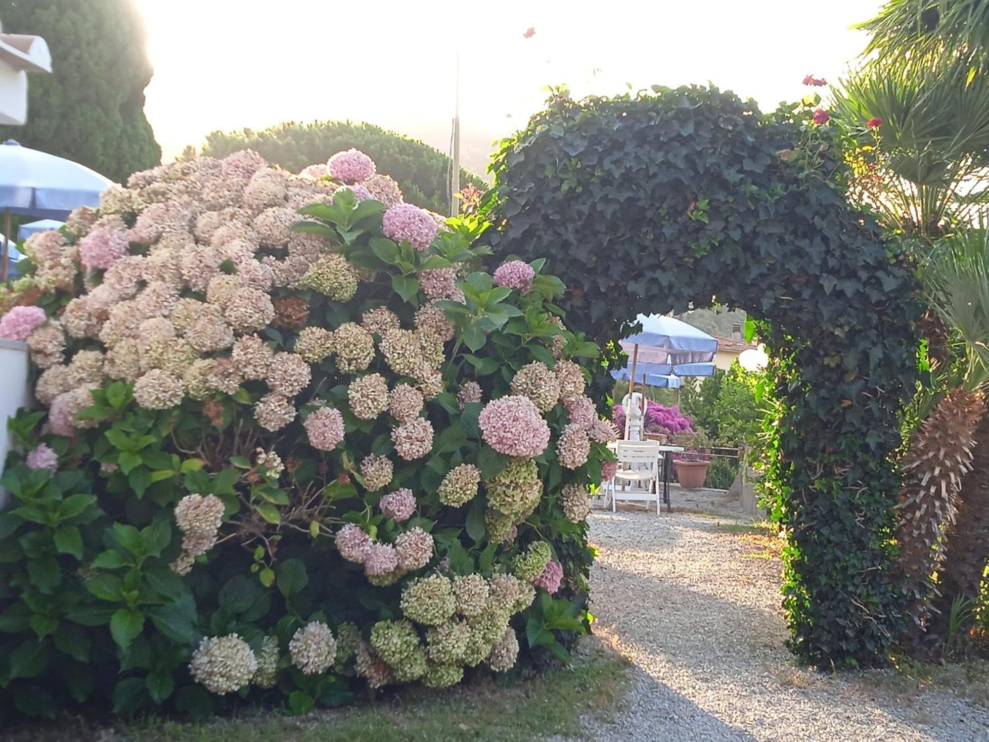 Locanda Dell'Amicizia Seccheto Exterior foto
